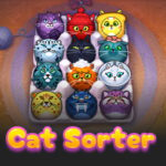 CatSorter Puzzle